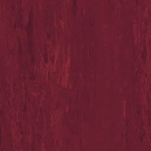 Standard XL - Black Cherry